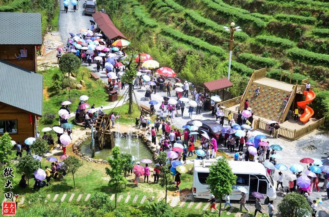 大田:乡村生态游火热