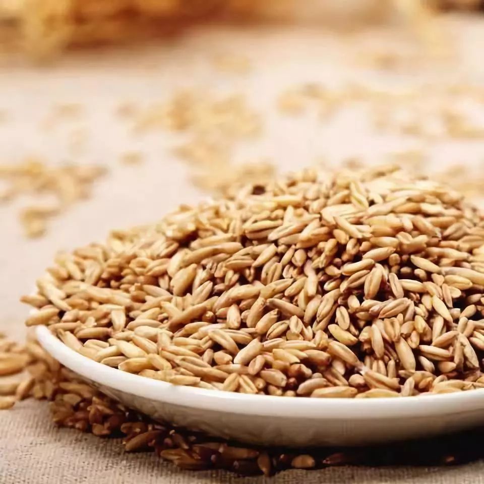 671度高珍莜麦情结