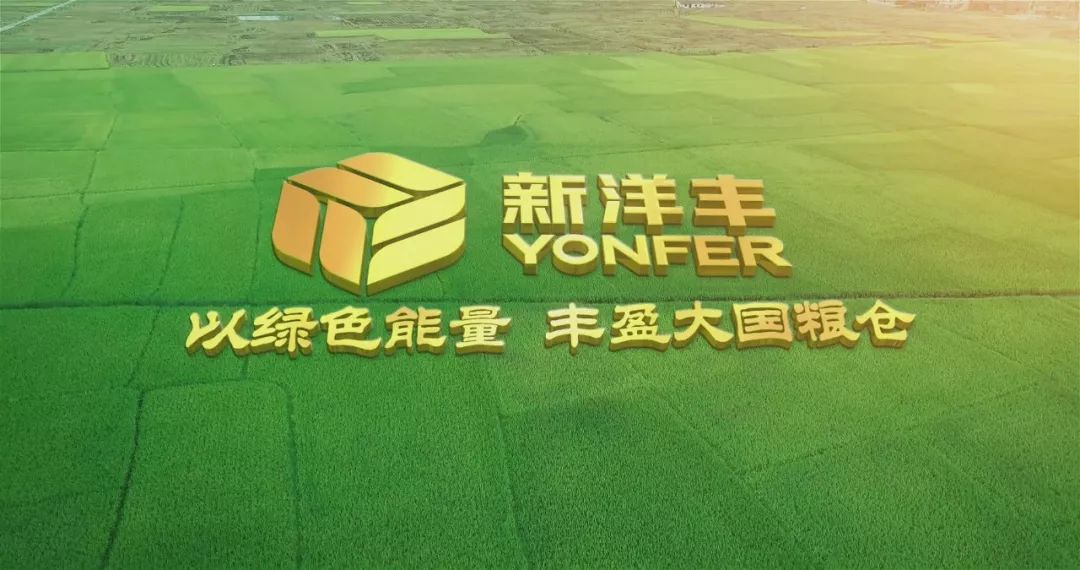 绿色洋丰中国行苏杭熟天下足百倍邦助力江苏水稻丰产丰收