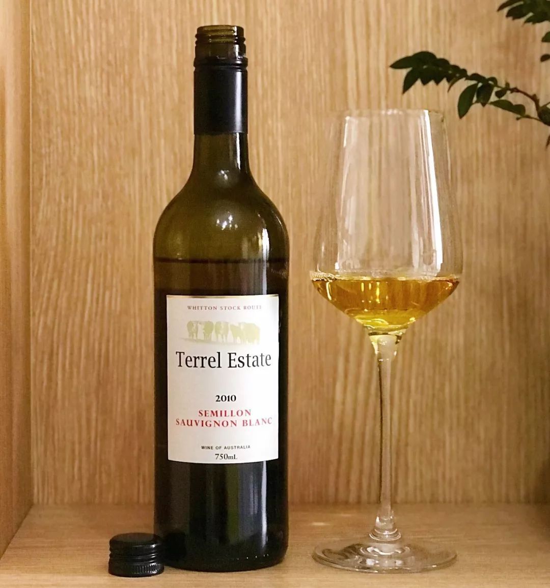 今日荐酒 德诺赛美蓉长相思干白葡萄酒2010 terrel estate semillon