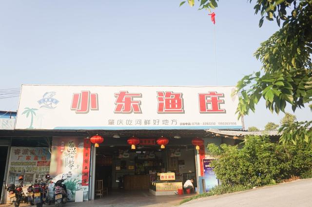 肇庆吃喝玩乐旅游攻略-本地人教你这样玩