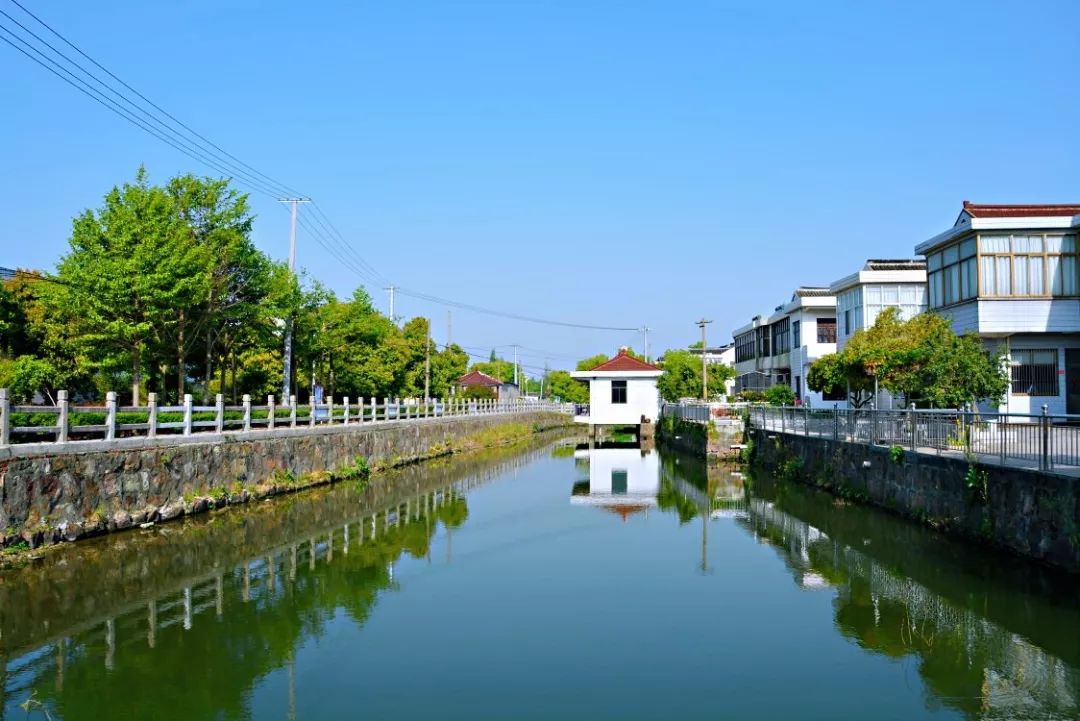 从江阴第一个农业生产合作社到顾山镇首富村——记江阴市顾山镇新龚村