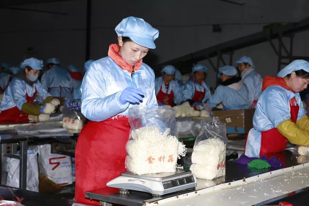 竞赛的号召,河北光明九道菇生物科技有限公司开展包装技能比武竞赛