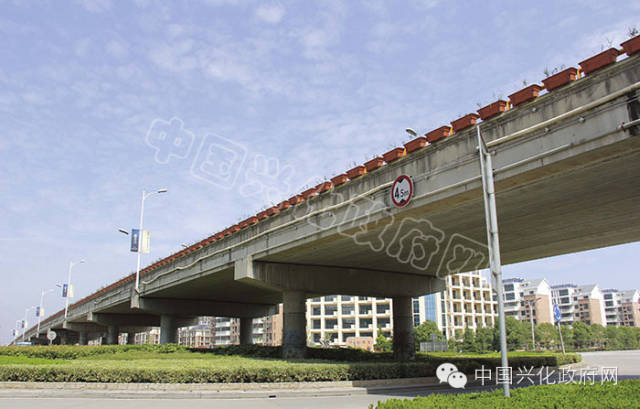 兴化市住建局组织将双曲拱桥拆除改为空心板梁桥