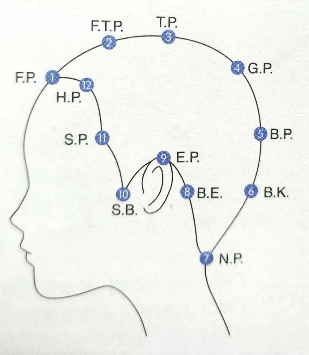 在各个分区上,均有连结头部不同倾斜部位的各个点,不同的点对发型造型