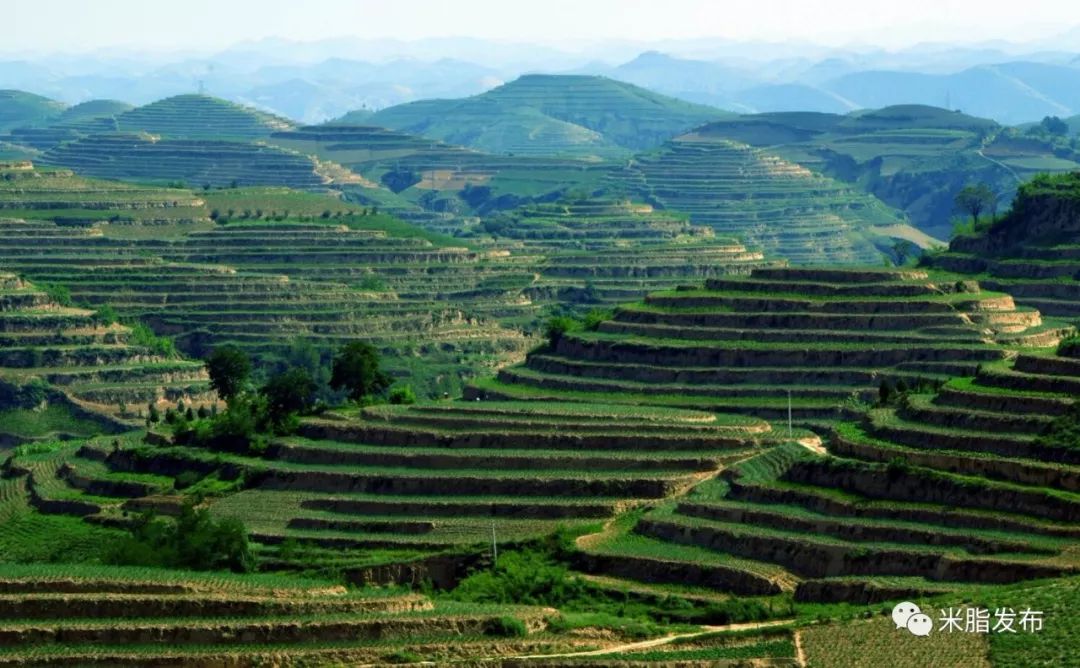 地处黄土高原丘陵沟壑区腹地,境内平均海拔1049米,土层平均深度120米