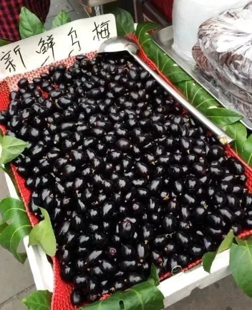 并不是天然水果其实是人工做的很多景区卖的贼贵的"乌梅"03却没写到一