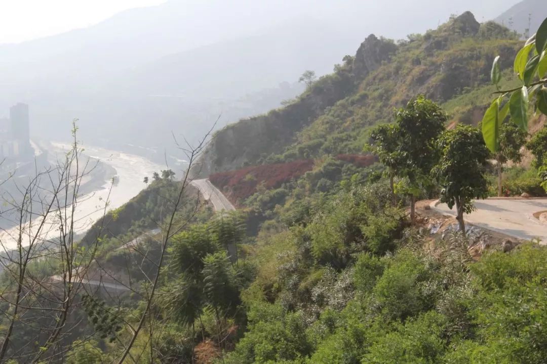 攀枝花干热河谷图片