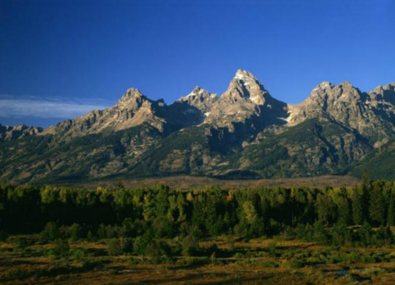 王安石游玩钟山写下一首诗,每一句里有2个山字,表现手法很高明