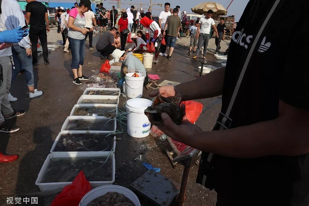 螃蟹,蛤蜊,海螺等尽情往家拎,许多市民来到红岛渔港淘海鲜,带回大量当