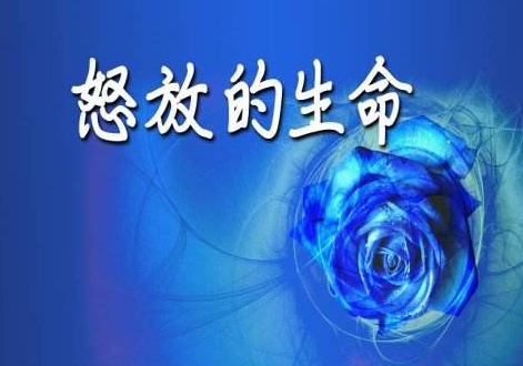 易金通怒放的生命