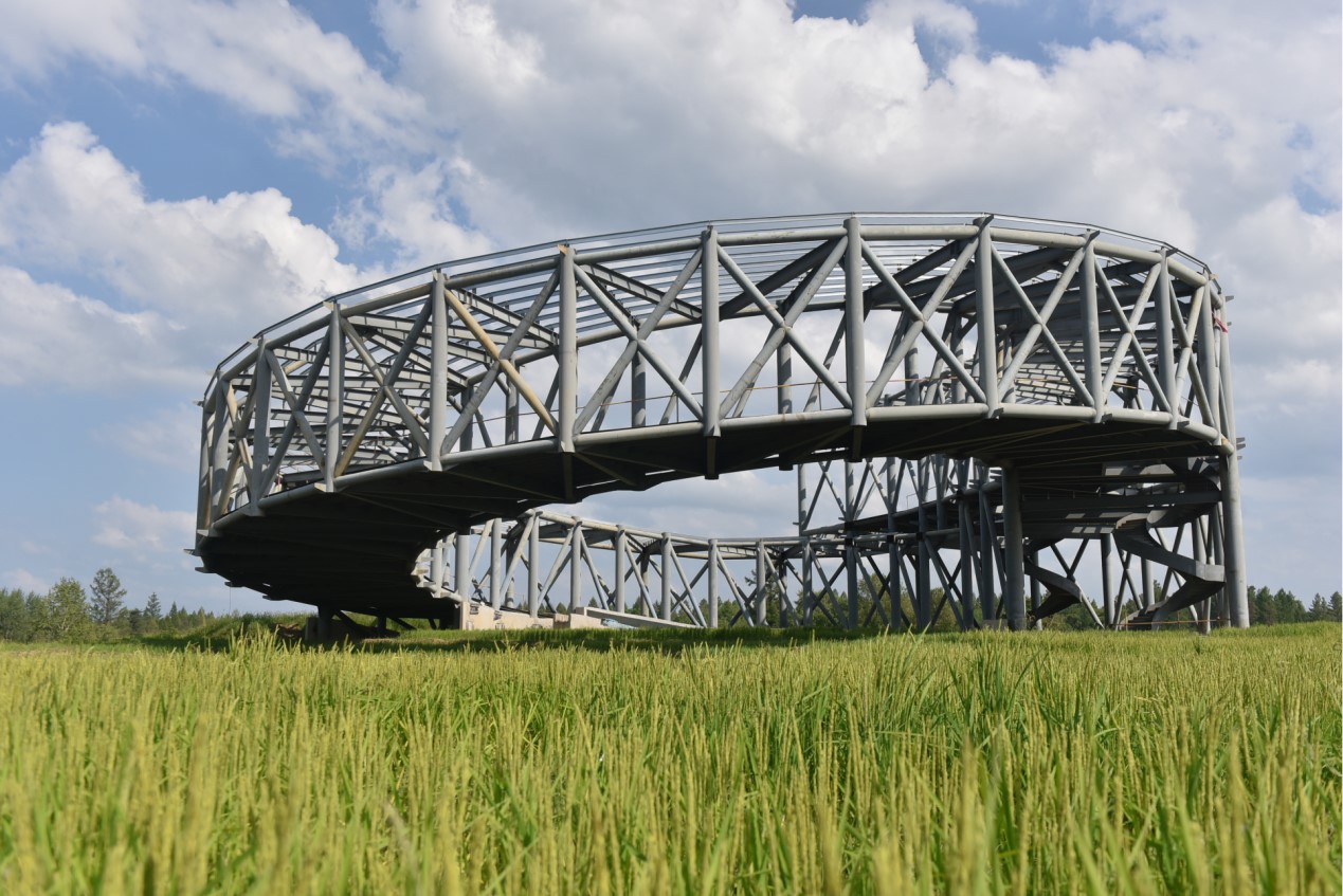 紫玉红丰,这片稻田我爱定了_建筑