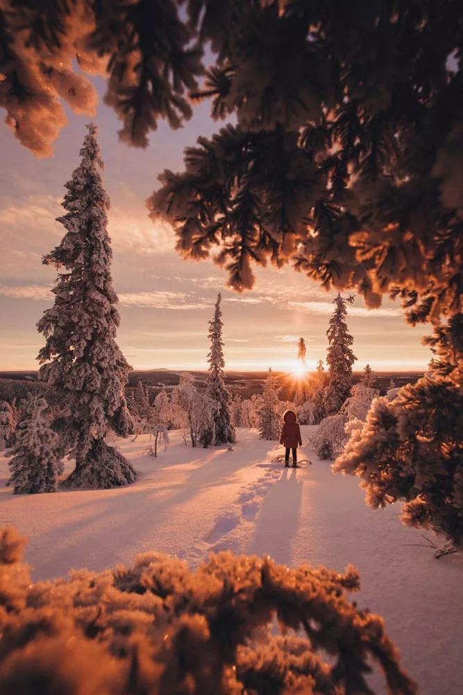 为什么去北欧旅行，要选在冬天？