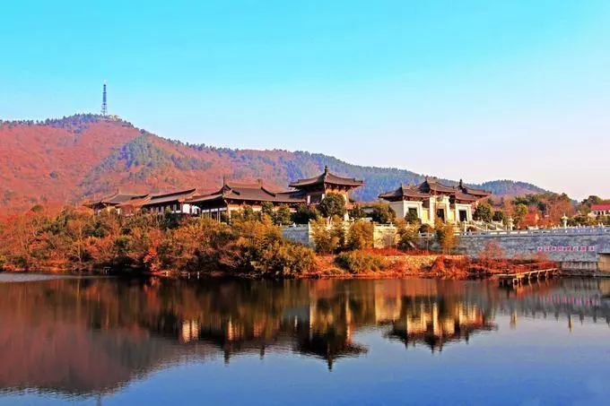 综艺回顾美食来了全民营养健康行动宣城站嗨到爆