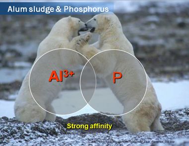 自来水厂污泥是废物还是有用的资源
