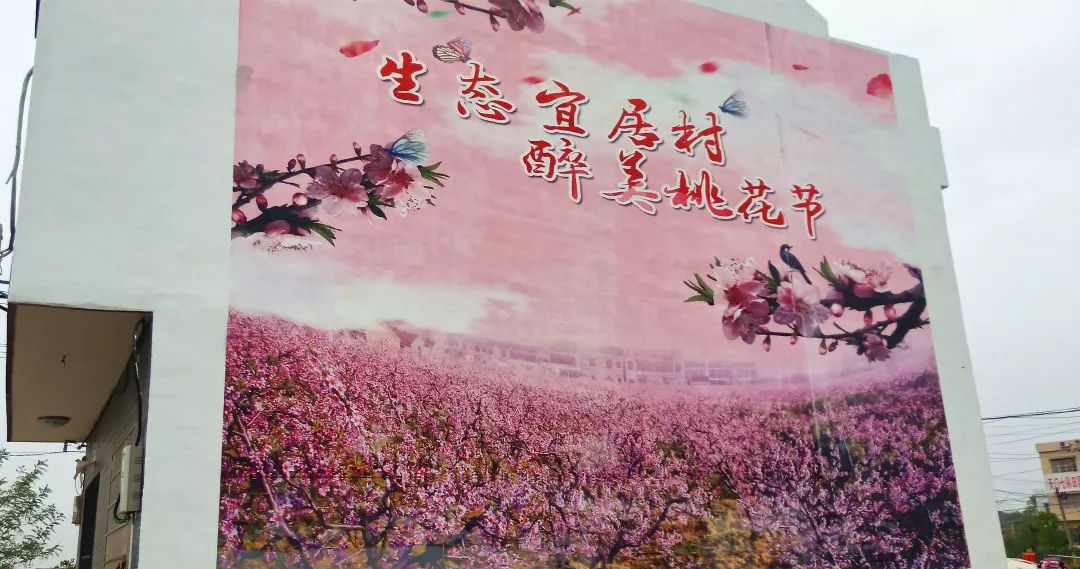 千里花海,彩色墙绘……看天门这个村如何玩转美丽乡村建设