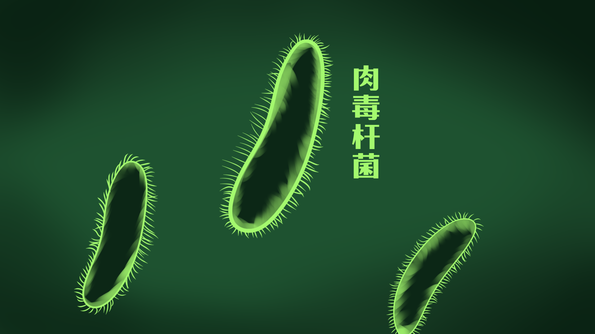 肉毒梭菌的形态图片