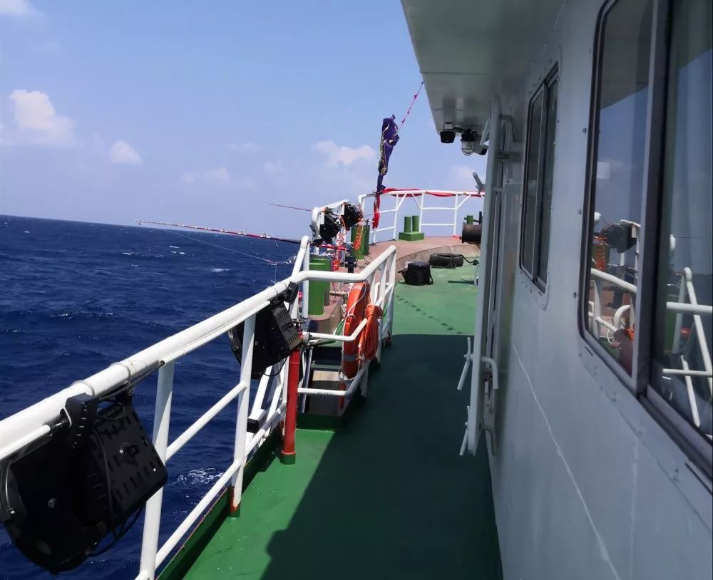 会员活动德森海钓初体验