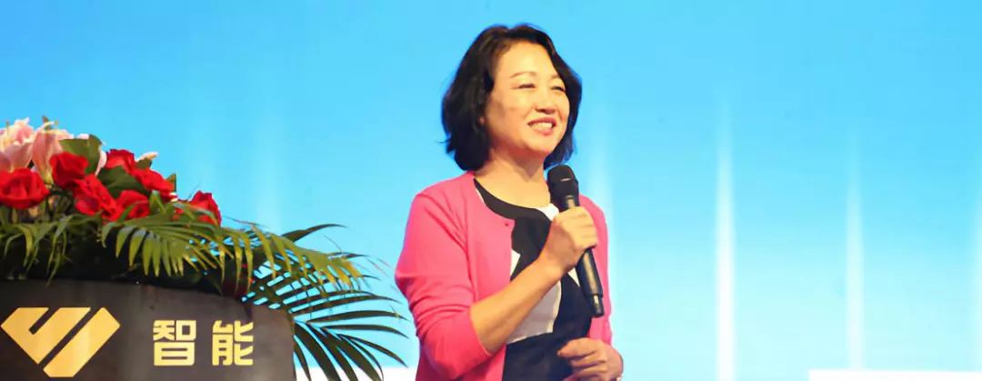 中国国际贸易促进委员会化工行业分会副会长马春艳在2019农化制剂智能