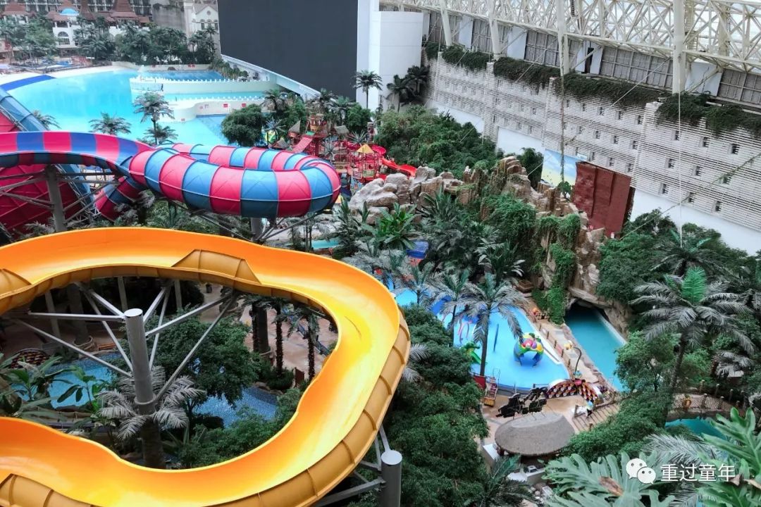 自驾到雅安发现太多好玩的散养小熊猫野奢酒店超大水上乐园看完就想去