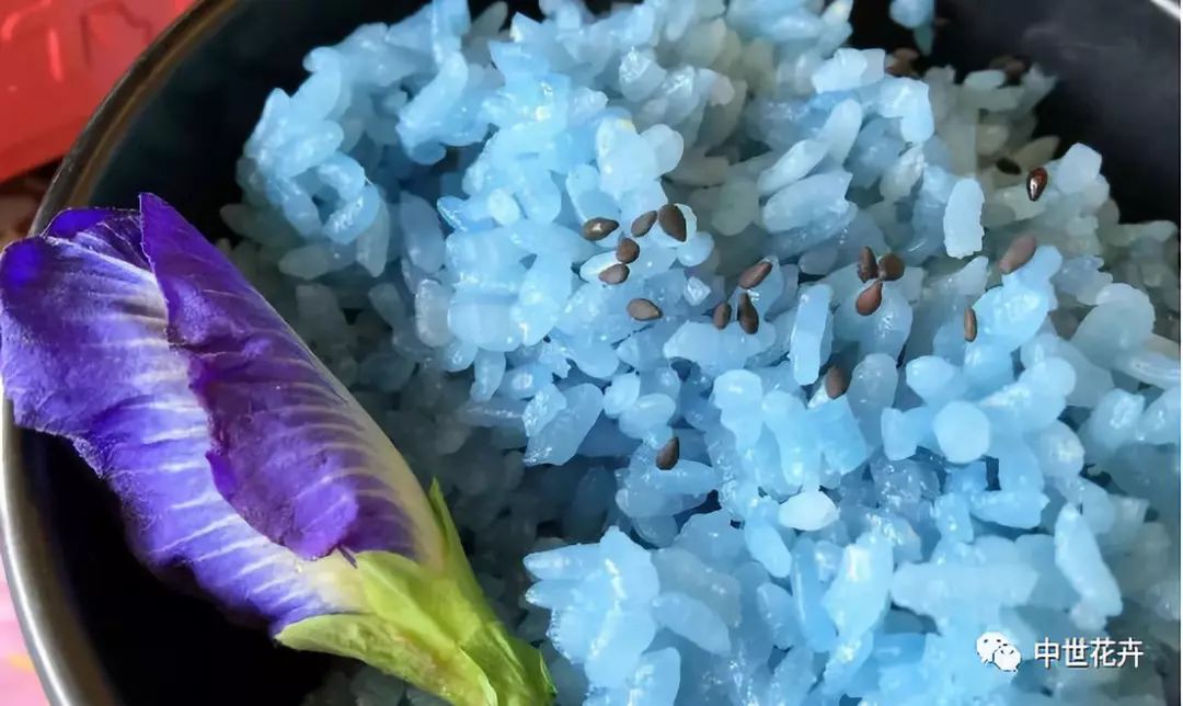 用蝶豆花的汁液改良过的传统主食饺子,粽子,米饭是不