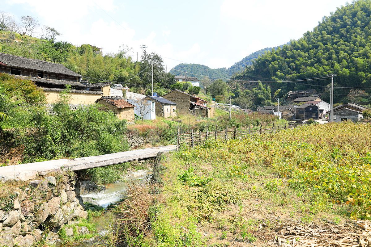 余家坑上游不远就是陈大坑自然村,彦坑村驻地就在这里,彦坑溪从村后山
