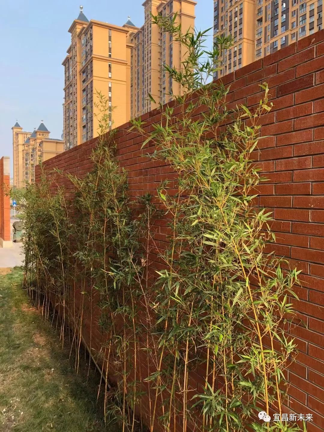 着热情与汗水的年代恍惚穿越时空便可见红砖青瓦一来到这里9月29日