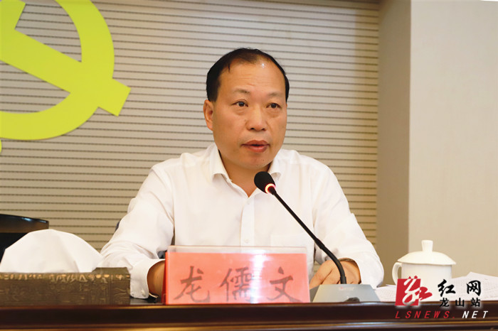 龙山召开"不忘初心,牢记使命"主题教育专项整治工作推进会_龙儒文