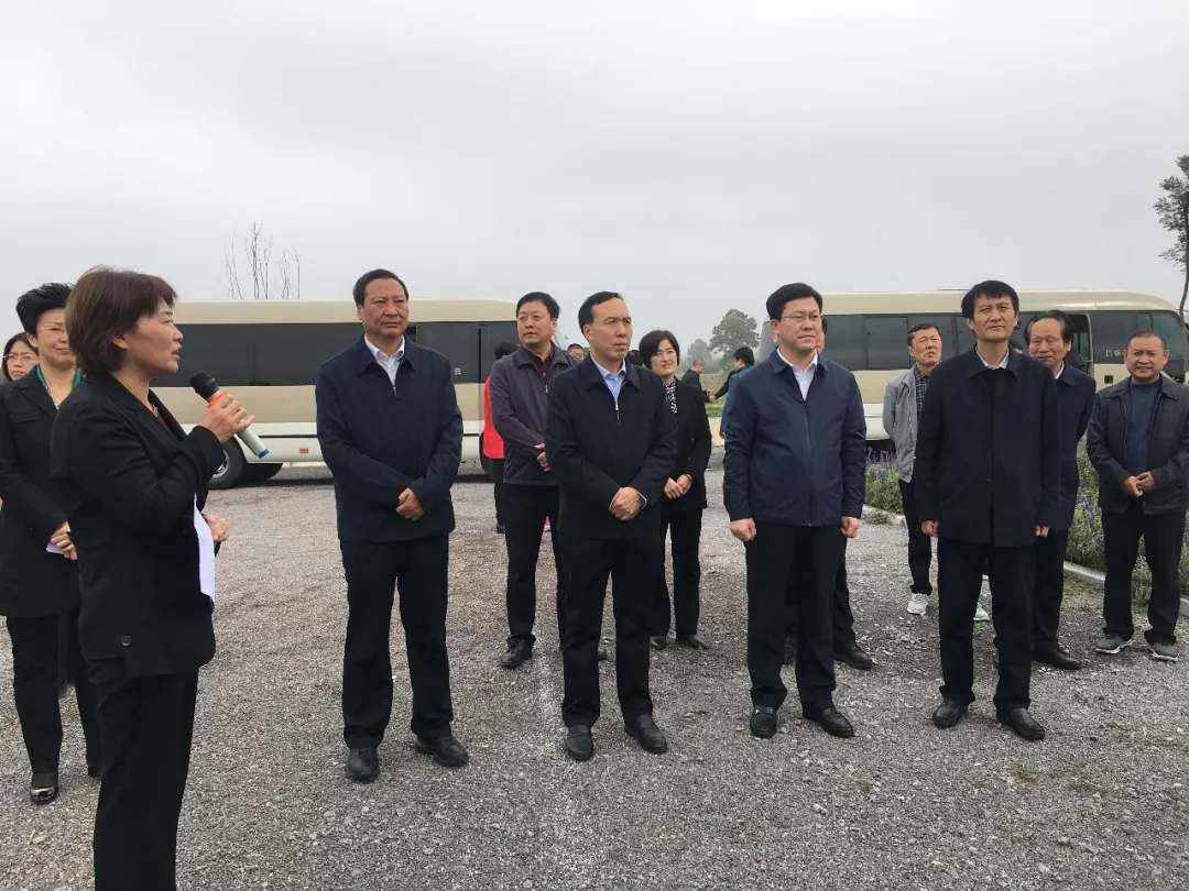 10月10日,市人大常委会副主任张汪尤来到盐湖区涑水河冯村桥,涑水河运