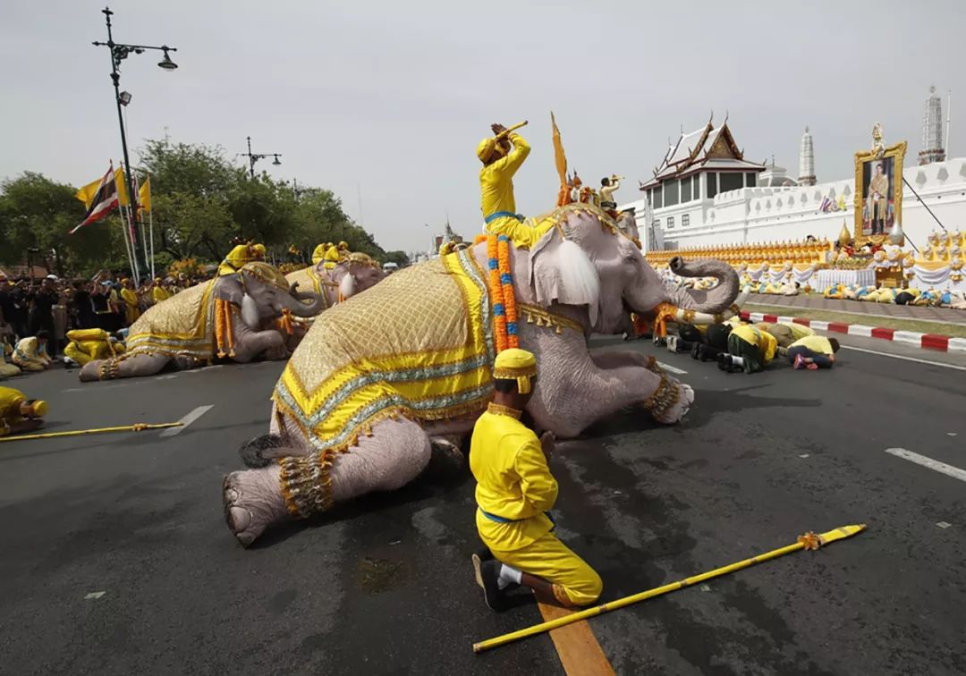 原创泰国跪拜礼仪太过分竟让小朋友在大雨中跪拜趴在潮湿的马路上