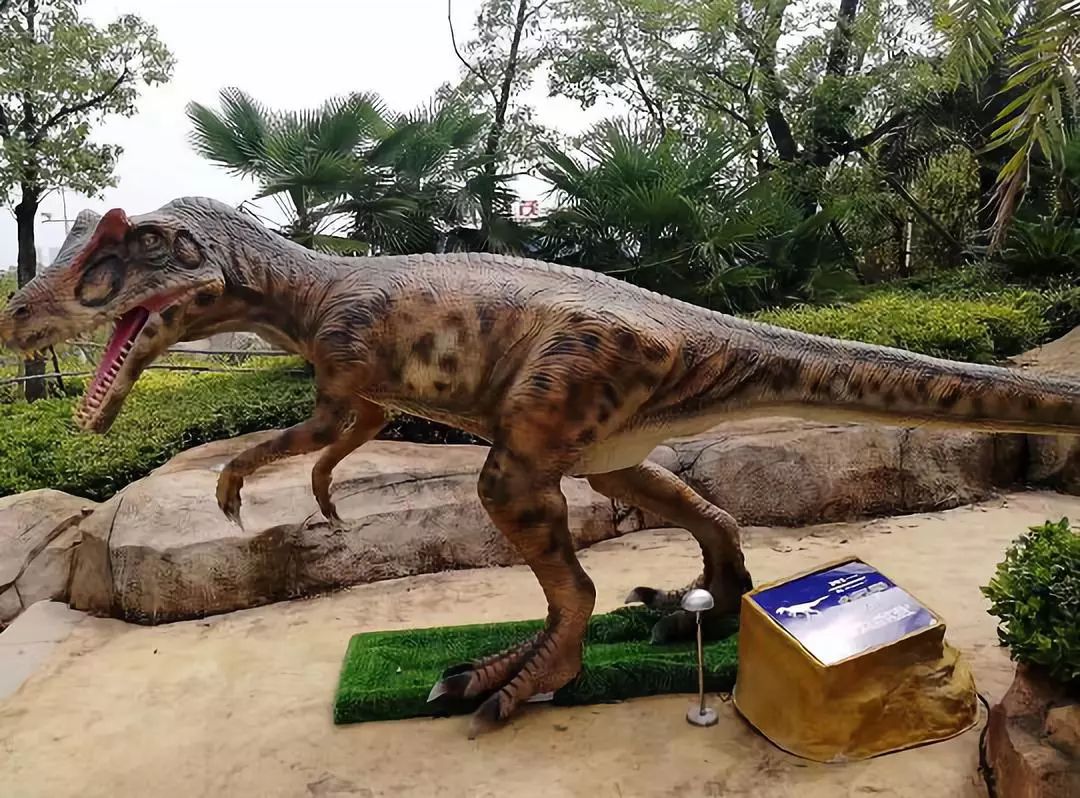 南昌融创乐园恐龙奇趣世界带你重回侏罗纪