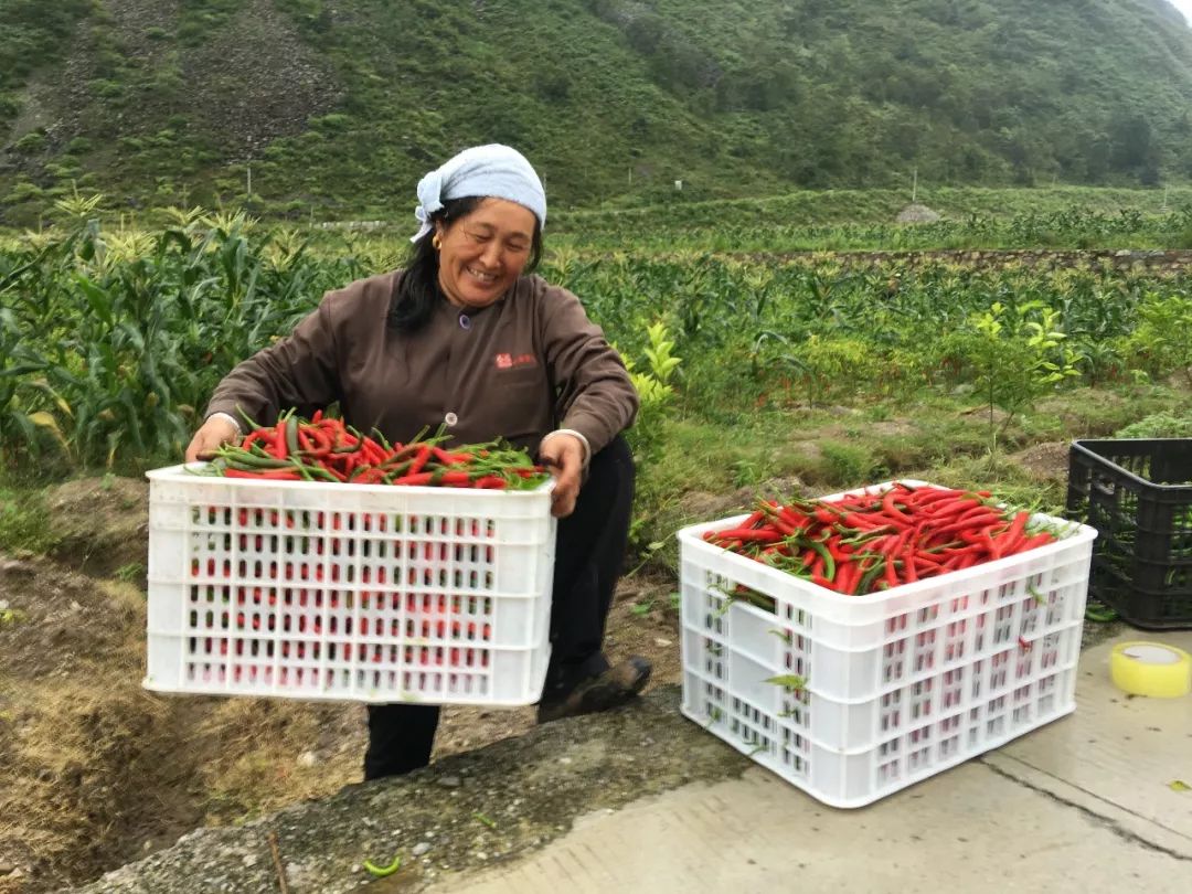佛山用心用情用力帮扶凉山甘洛,让村民搬得进稳得住能致富 | 榜样的