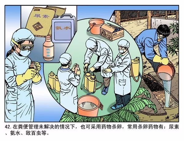 国家评估组在丹徒区评估血吸虫病传播阻断达标工作内附漫画