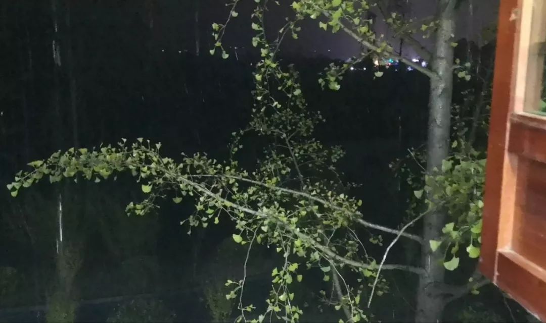 松风阁艺术窗外有雨心里有梦