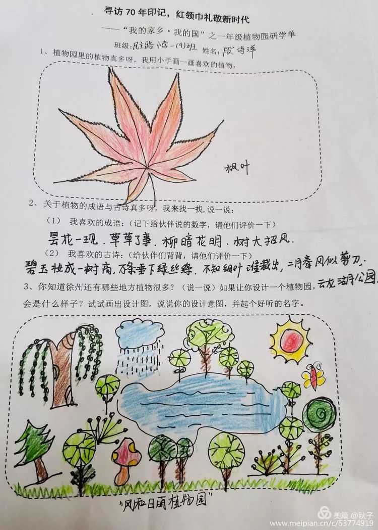 一年级简单植物介绍图片