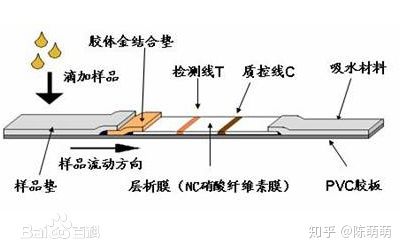 你知道吗验孕棒也用到纳米技术