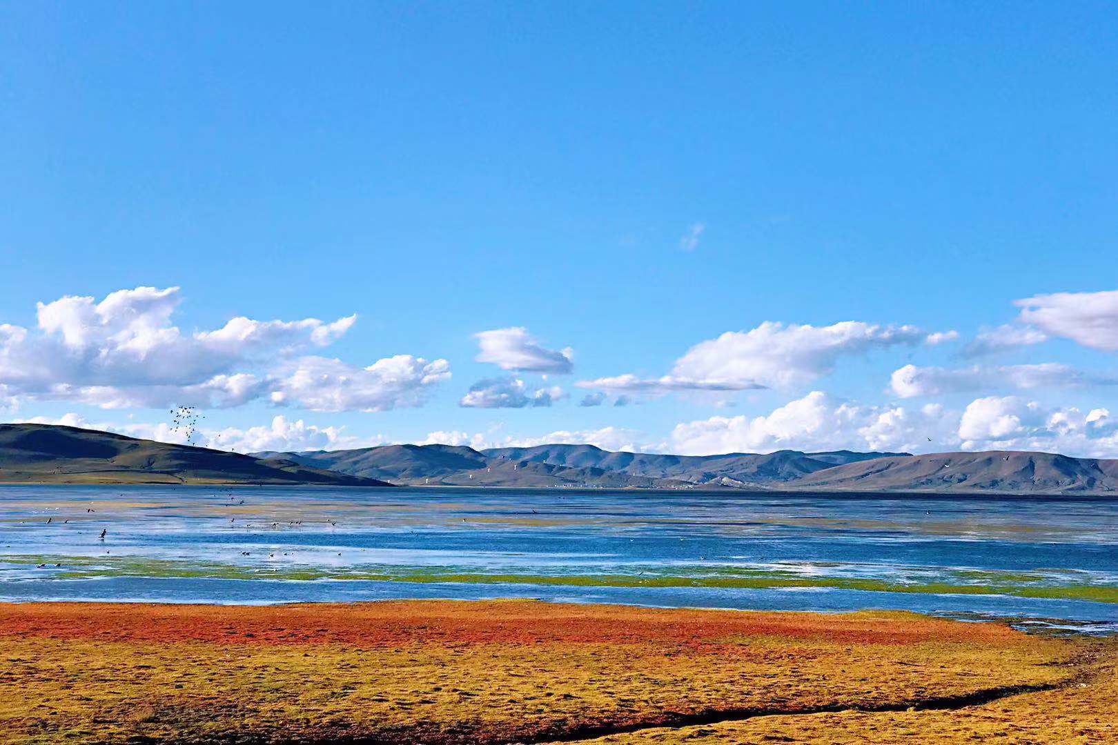 哲古湖这是位于位于西藏山南地区的哲古草原,由于哲古湖的水源充足