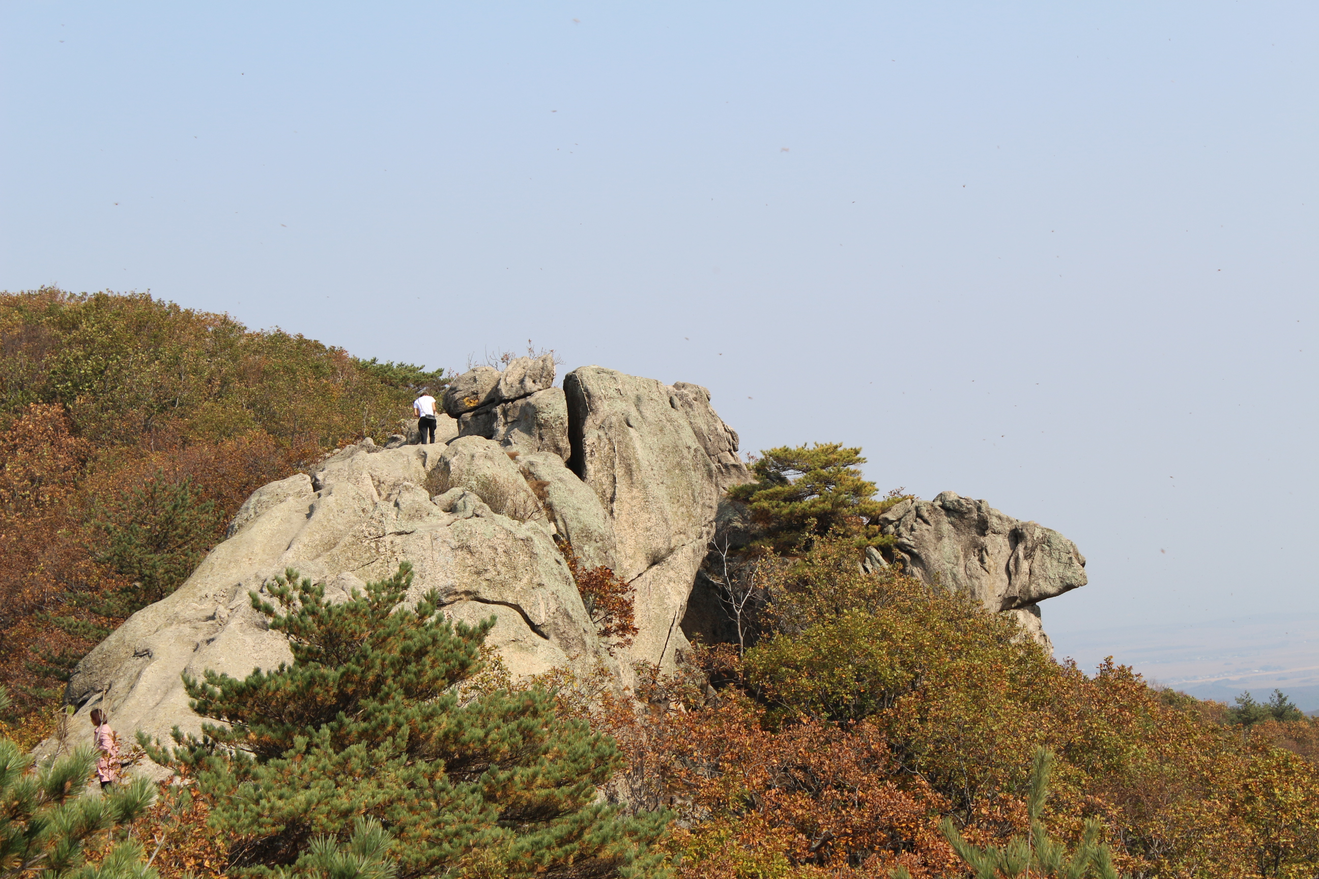 武夷山骆驼峰图片