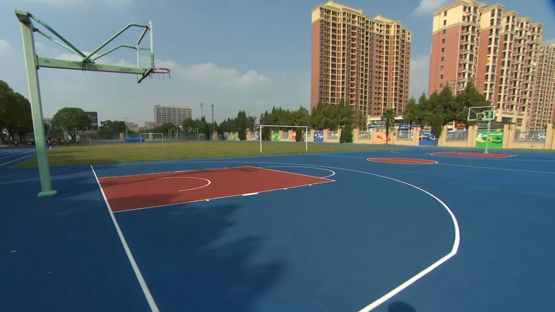 平湖这几所学校大变样了还是你记忆中的母校吗