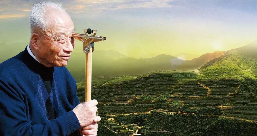 元泰君推荐张天福有机茶示范基地丨一杯永泰红喝出健康来