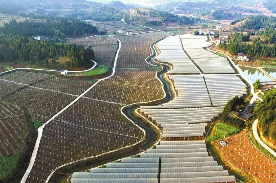 现代农业产业园为什么能成为国家政策焦点67