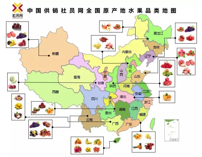 社员网全国原产地水果品类top10图鉴