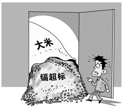 大米中重金属镉的快速检测技术