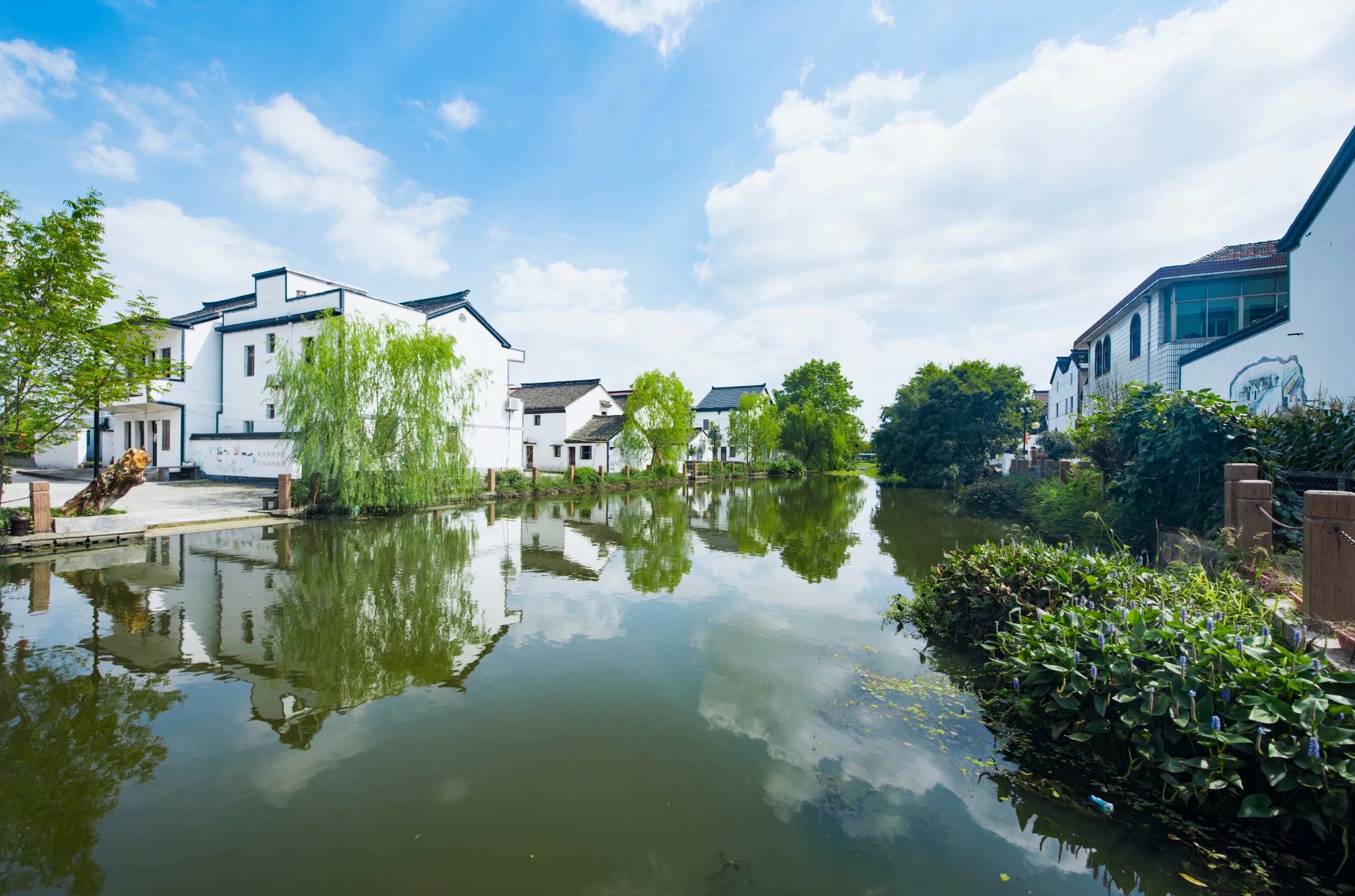 原創烏鎮後花園式特色庭院民宿