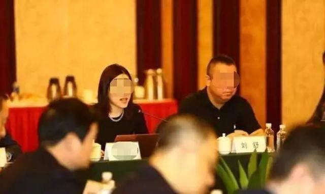 屈辱美丽董事长10_屈辱的美女董事长(2)