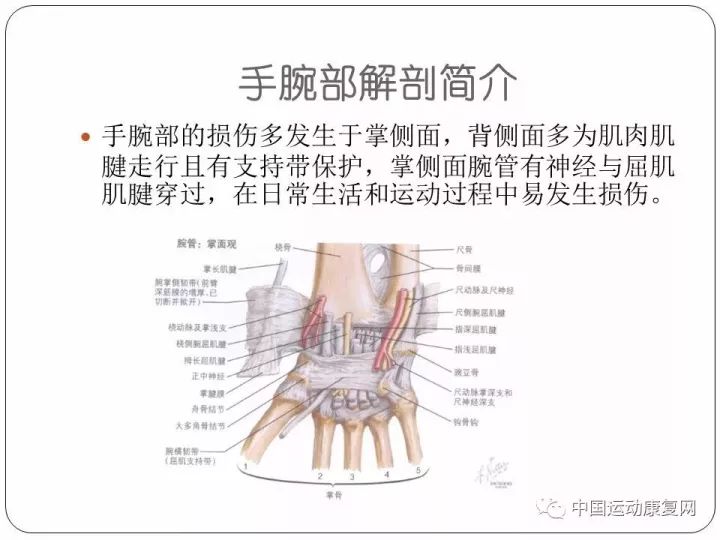 手腕运动损伤及康复训练