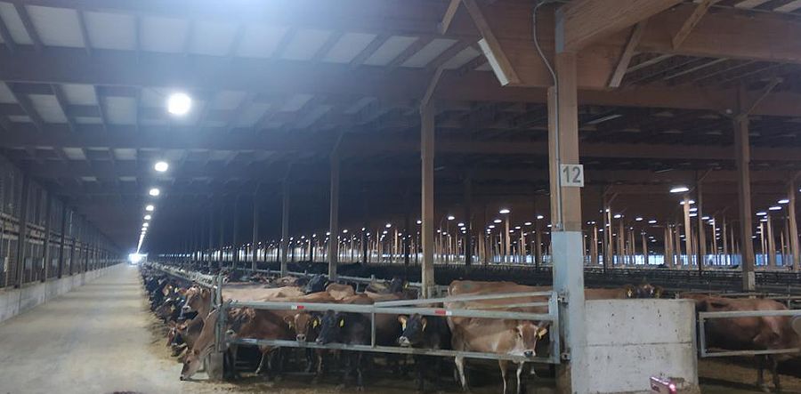 探索美国顶尖牧场的运营之道