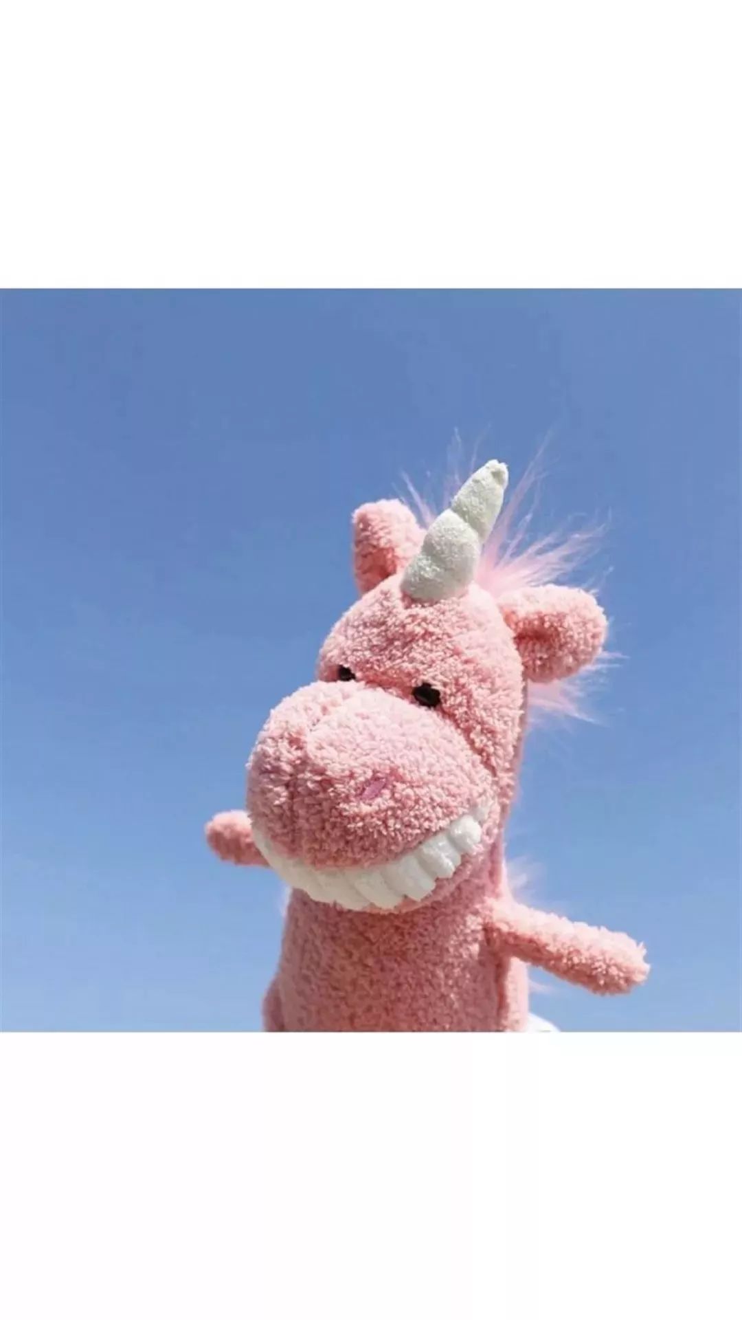 壁纸有趣的灵魂终会遇见