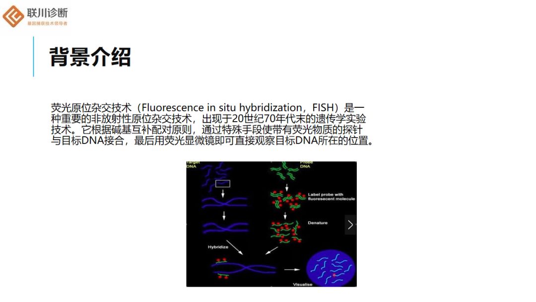 荧光原位杂交(fish)的应用