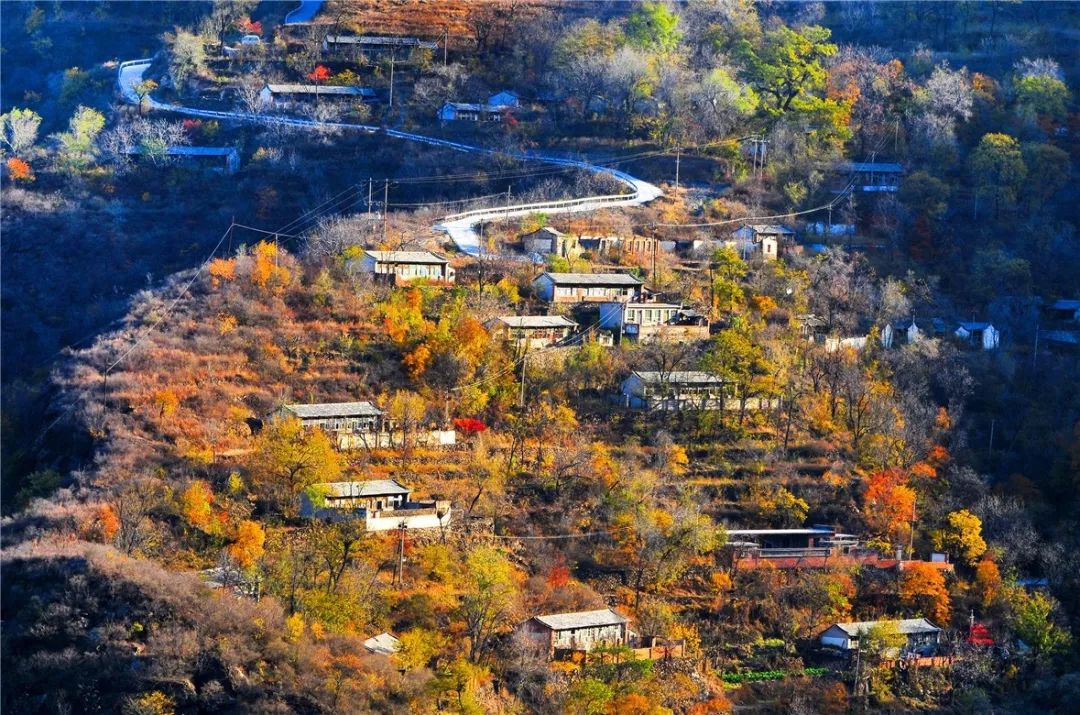 快来打卡可是不比网红景点差呦这里的风景小编友情提示就像您的故乡呢